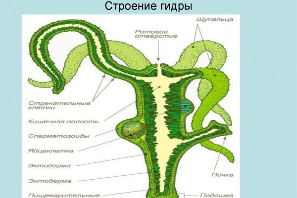 Кракен 16 вход